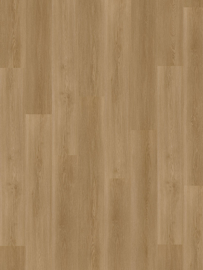 SPC CHECK ONE BASIC 4.5mm 2432