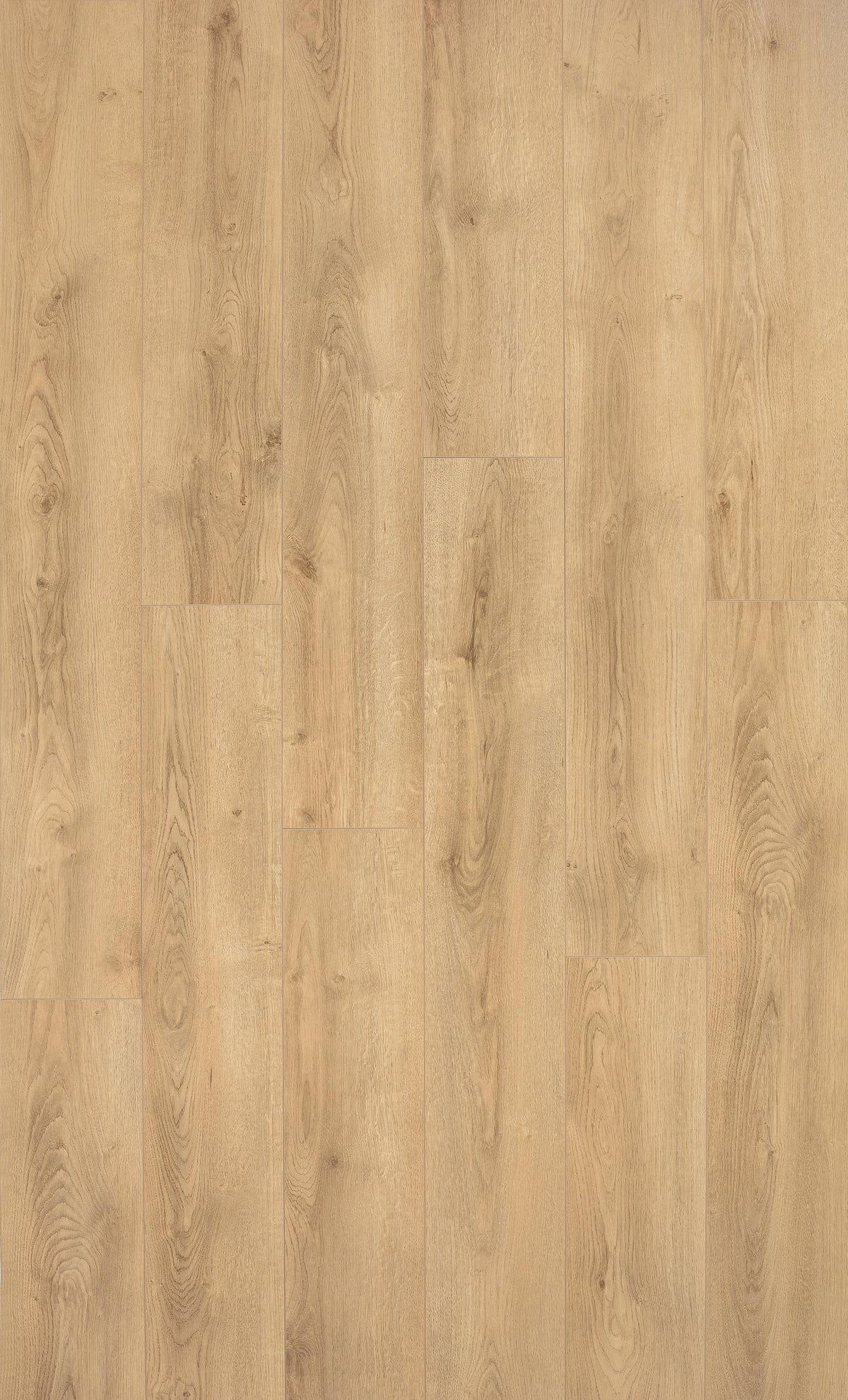 SWISS FLOOR 4V D4539