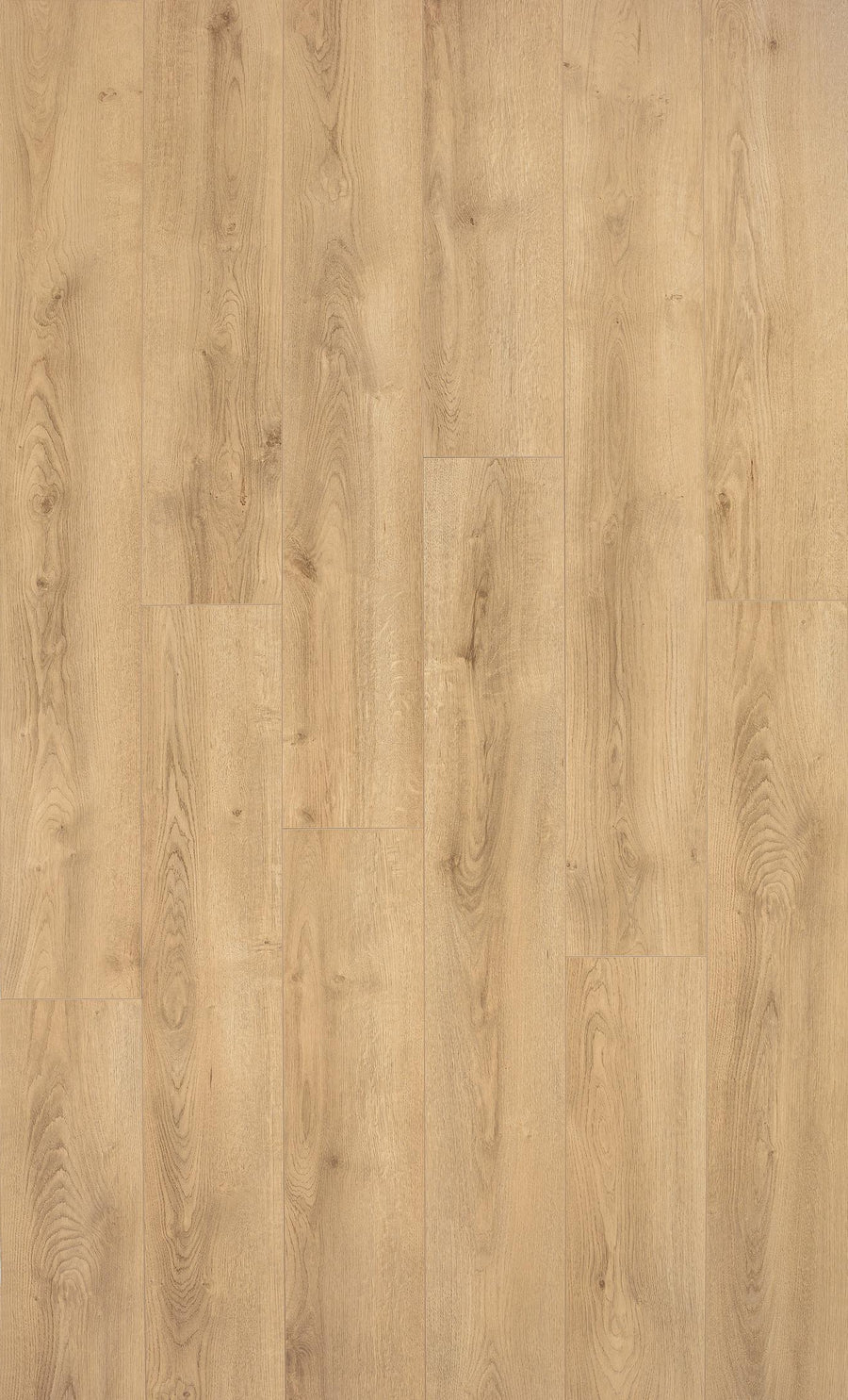 SWISS FLOOR 4V D4539